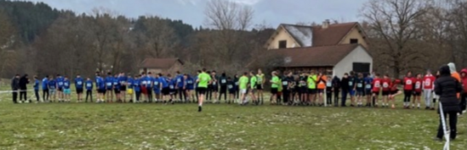 2025-11-29 19_00_41-cross départemental.jpeg ‎- Photos.png